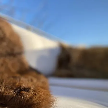 Bed & Breakfast Soholt - *