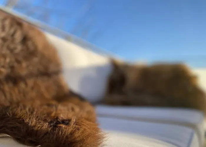 Bed and breakfast Soholt - *