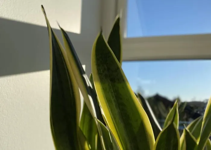 Bed and breakfast Soholt - *